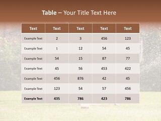 A Group Of Kids Playing In A Sprinkle Of Water PowerPoint Template