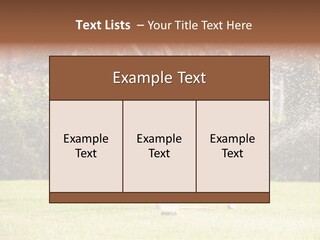 A Group Of Kids Playing In A Sprinkle Of Water PowerPoint Template