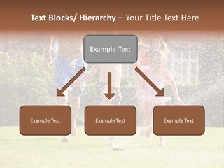 A Group Of Kids Playing In A Sprinkle Of Water PowerPoint Template