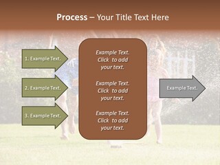 A Group Of Kids Playing In A Sprinkle Of Water PowerPoint Template