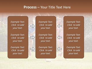 A Group Of Kids Playing In A Sprinkle Of Water PowerPoint Template