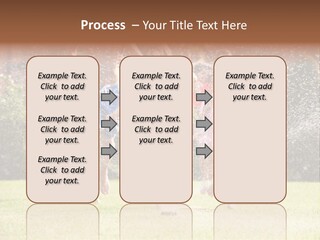 A Group Of Kids Playing In A Sprinkle Of Water PowerPoint Template