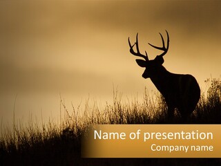 A Silhouette Of A Deer Standing In Tall Grass PowerPoint Template