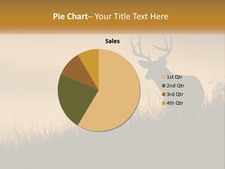 A Silhouette Of A Deer Standing In Tall Grass PowerPoint Template