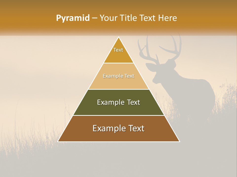 A Silhouette Of A Deer Standing In Tall Grass PowerPoint Template