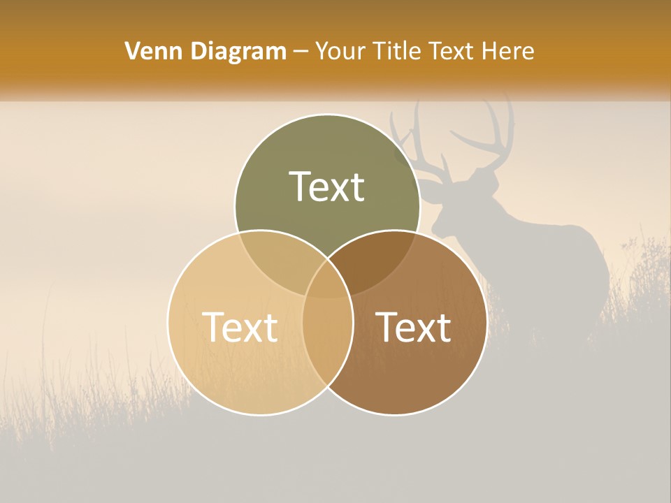 A Silhouette Of A Deer Standing In Tall Grass PowerPoint Template