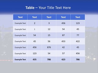 A Picture Of The White House At Night PowerPoint Template