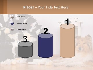 A Dog Sitting On The Floor Next To A Chair PowerPoint Template