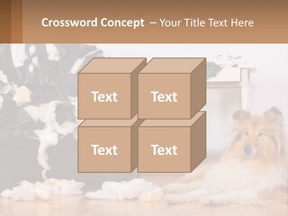 A Dog Sitting On The Floor Next To A Chair PowerPoint Template