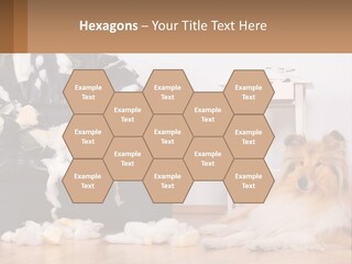 A Dog Sitting On The Floor Next To A Chair PowerPoint Template