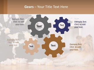 A Dog Sitting On The Floor Next To A Chair PowerPoint Template