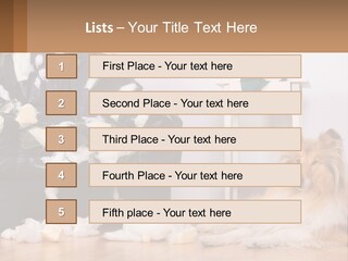 A Dog Sitting On The Floor Next To A Chair PowerPoint Template