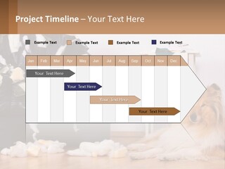 A Dog Sitting On The Floor Next To A Chair PowerPoint Template