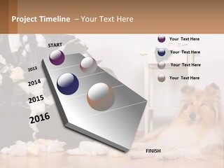 A Dog Sitting On The Floor Next To A Chair PowerPoint Template