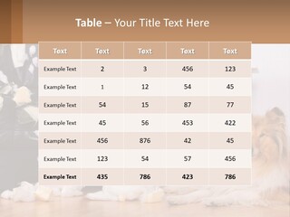 A Dog Sitting On The Floor Next To A Chair PowerPoint Template