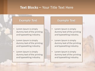 A Dog Sitting On The Floor Next To A Chair PowerPoint Template