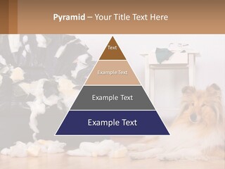 A Dog Sitting On The Floor Next To A Chair PowerPoint Template