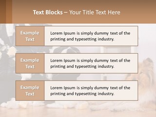 A Dog Sitting On The Floor Next To A Chair PowerPoint Template