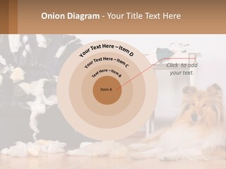 A Dog Sitting On The Floor Next To A Chair PowerPoint Template