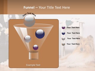 A Dog Sitting On The Floor Next To A Chair PowerPoint Template