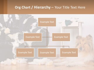 A Dog Sitting On The Floor Next To A Chair PowerPoint Template