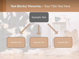 A Dog Sitting On The Floor Next To A Chair PowerPoint Template