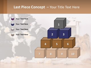 A Dog Sitting On The Floor Next To A Chair PowerPoint Template