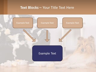 A Dog Sitting On The Floor Next To A Chair PowerPoint Template