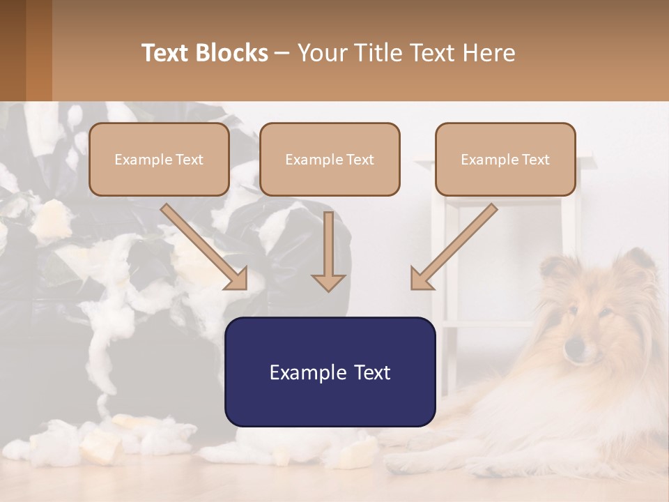 A Dog Sitting On The Floor Next To A Chair PowerPoint Template