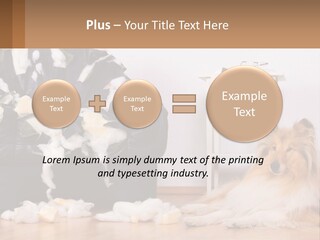 A Dog Sitting On The Floor Next To A Chair PowerPoint Template