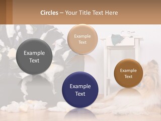 A Dog Sitting On The Floor Next To A Chair PowerPoint Template