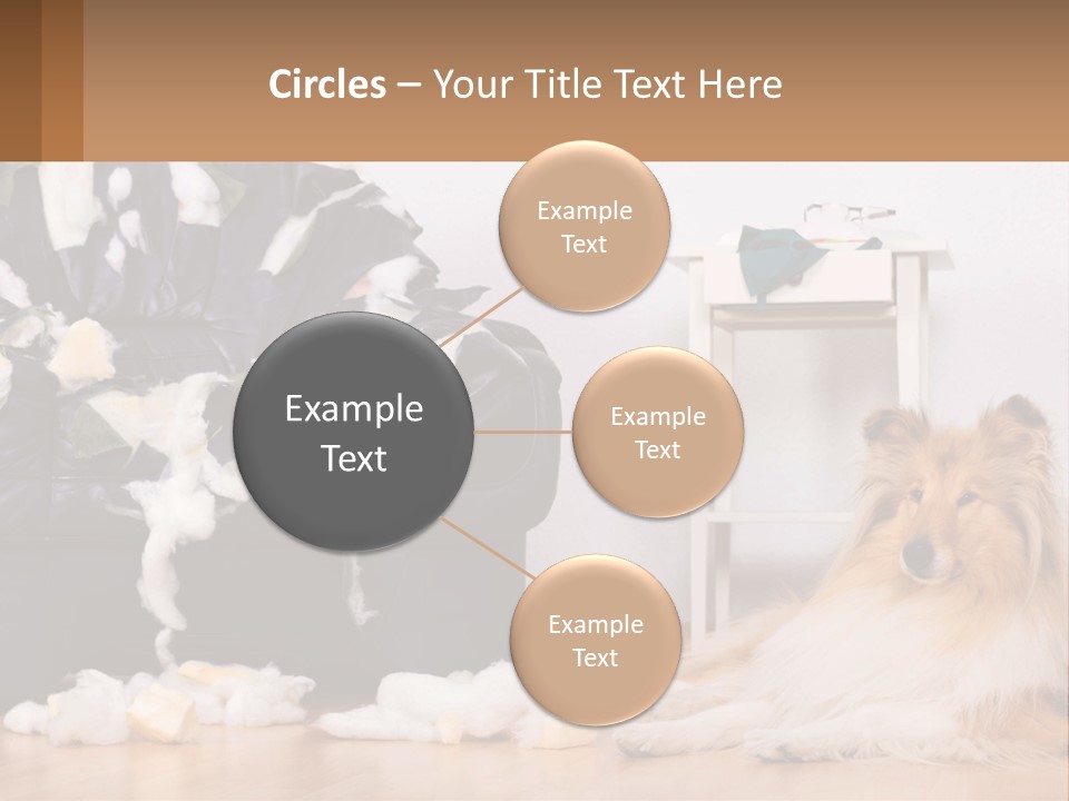 A Dog Sitting On The Floor Next To A Chair PowerPoint Template