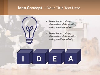 A Dog Sitting On The Floor Next To A Chair PowerPoint Template