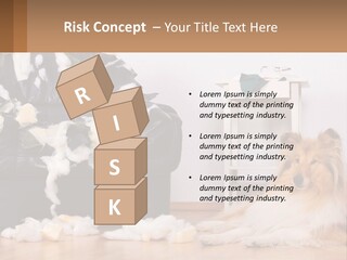 A Dog Sitting On The Floor Next To A Chair PowerPoint Template