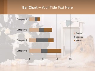 A Dog Sitting On The Floor Next To A Chair PowerPoint Template