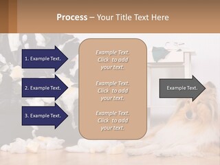 A Dog Sitting On The Floor Next To A Chair PowerPoint Template