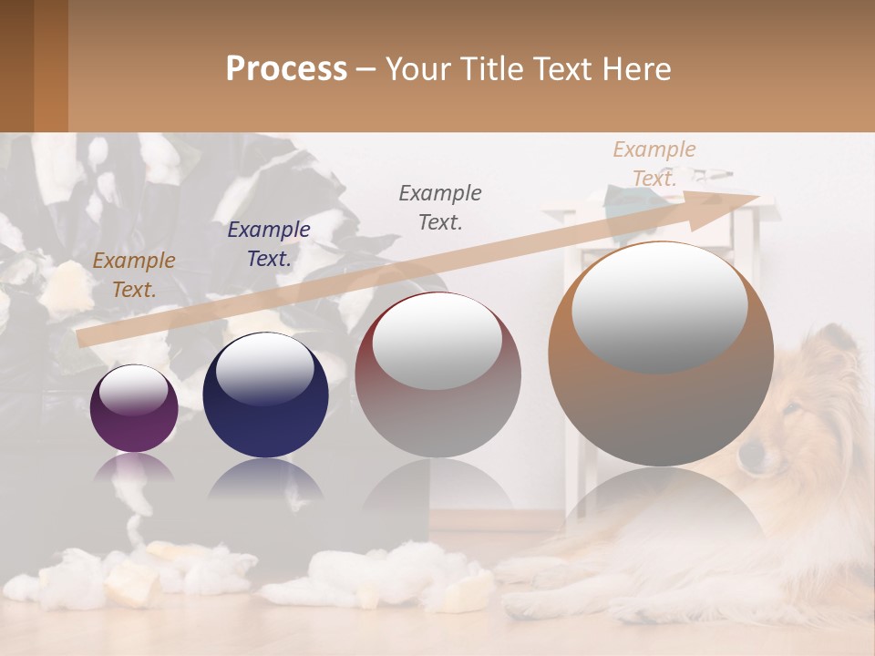 A Dog Sitting On The Floor Next To A Chair PowerPoint Template