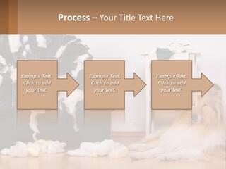 A Dog Sitting On The Floor Next To A Chair PowerPoint Template