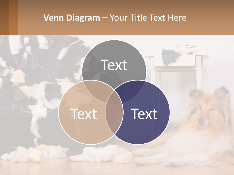 A Dog Sitting On The Floor Next To A Chair PowerPoint Template
