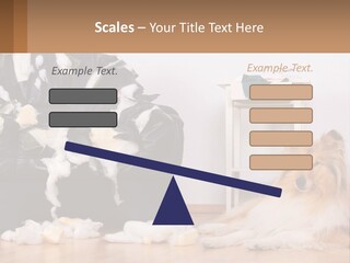 A Dog Sitting On The Floor Next To A Chair PowerPoint Template