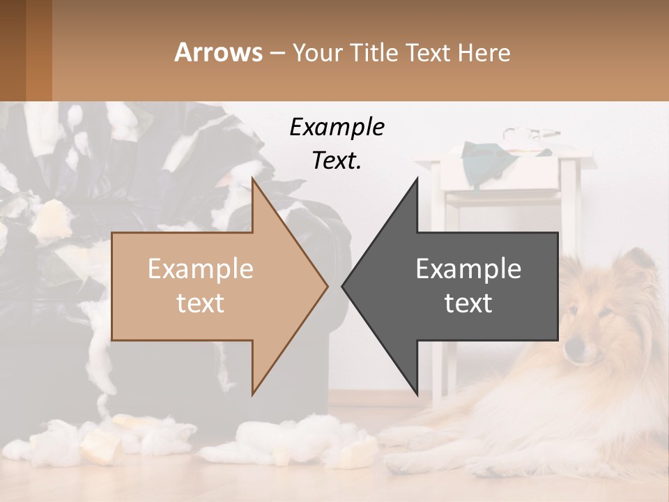 A Dog Sitting On The Floor Next To A Chair PowerPoint Template