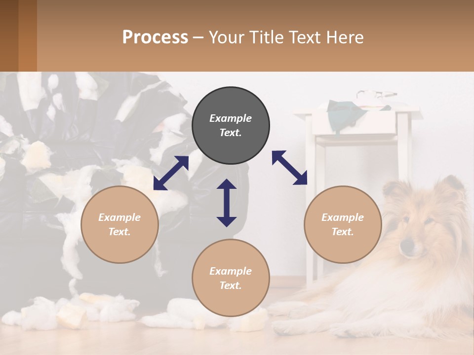 A Dog Sitting On The Floor Next To A Chair PowerPoint Template