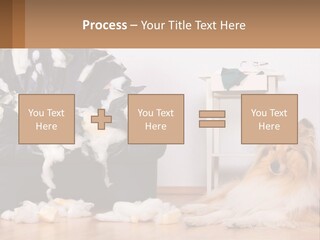 A Dog Sitting On The Floor Next To A Chair PowerPoint Template