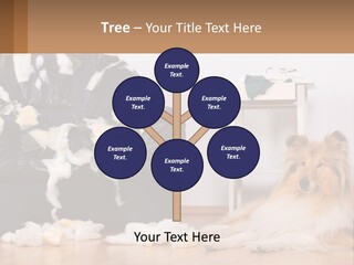 A Dog Sitting On The Floor Next To A Chair PowerPoint Template