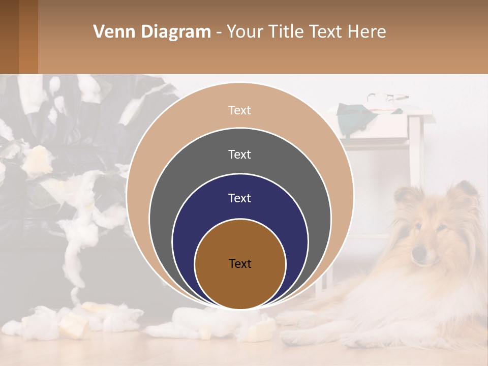 A Dog Sitting On The Floor Next To A Chair PowerPoint Template