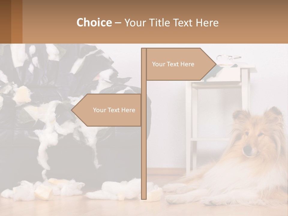 A Dog Sitting On The Floor Next To A Chair PowerPoint Template
