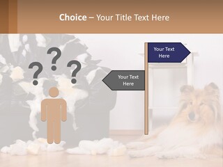 A Dog Sitting On The Floor Next To A Chair PowerPoint Template