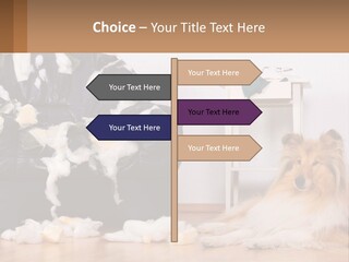 A Dog Sitting On The Floor Next To A Chair PowerPoint Template