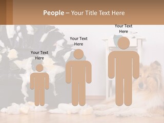 A Dog Sitting On The Floor Next To A Chair PowerPoint Template