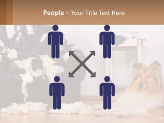 A Dog Sitting On The Floor Next To A Chair PowerPoint Template